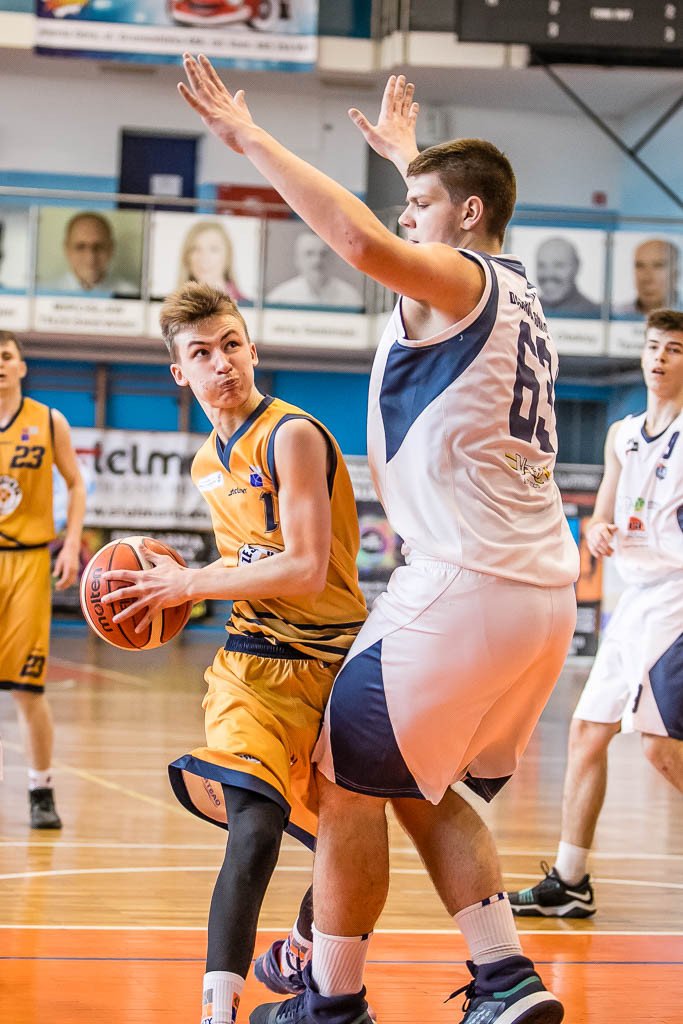 setka-dabrowy-gorniczej-80692