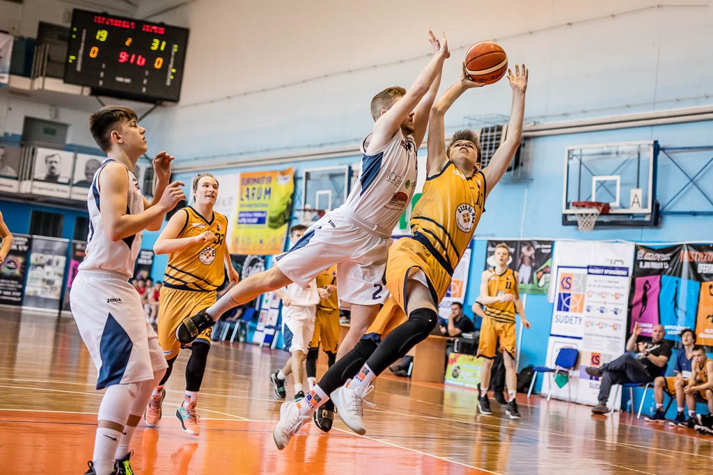 setka-dabrowy-gorniczej-80692