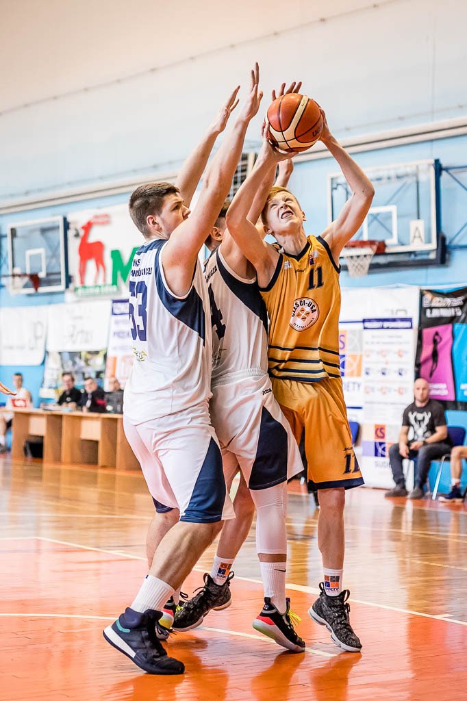 setka-dabrowy-gorniczej-80692