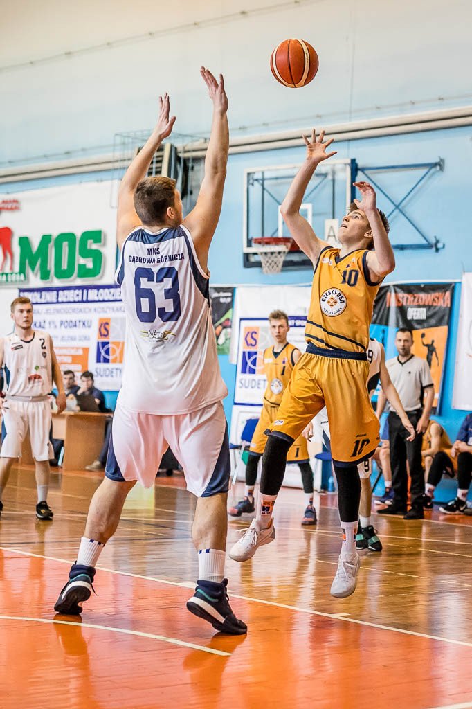 setka-dabrowy-gorniczej-80692
