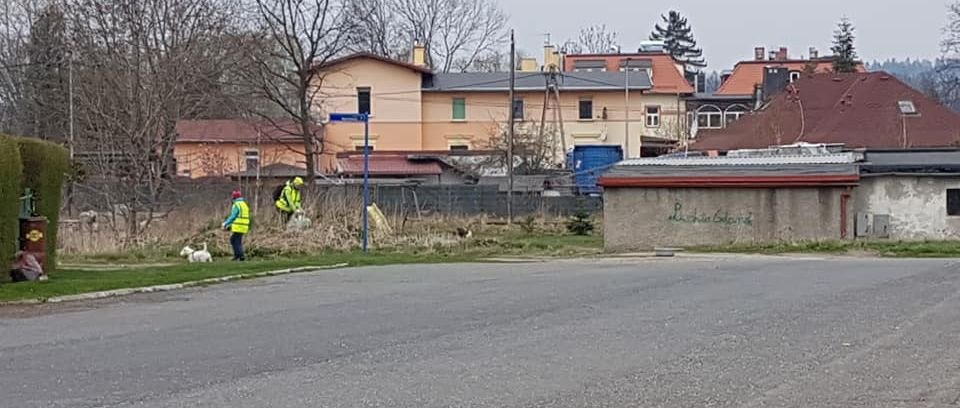 wielkie-porzadki-80817