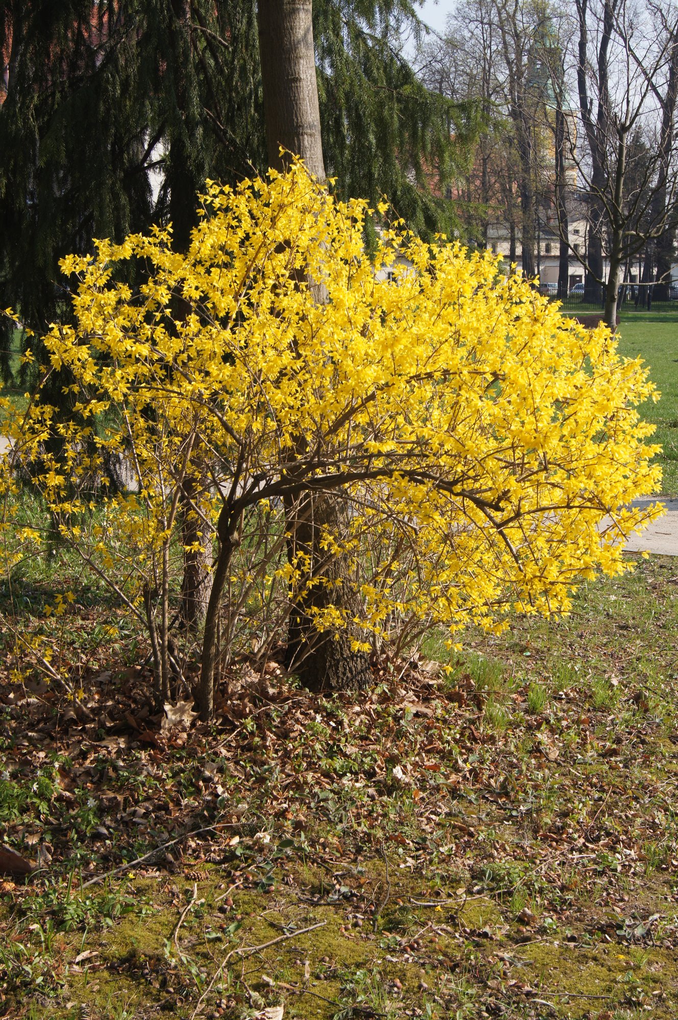 wszyscy-dbajmy-o-nasze-otoczenie-80829