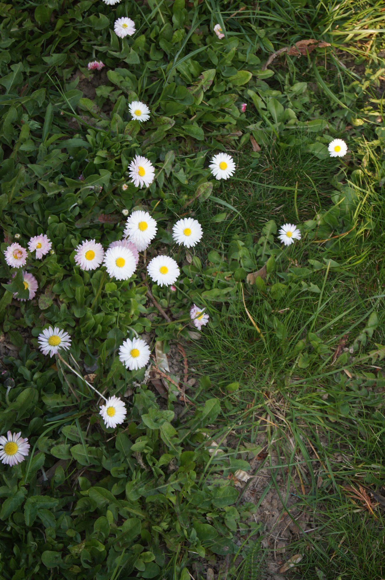 wszyscy-dbajmy-o-nasze-otoczenie-80829