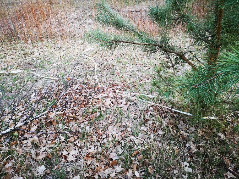 zapomnieli-sprzatnac-80841
