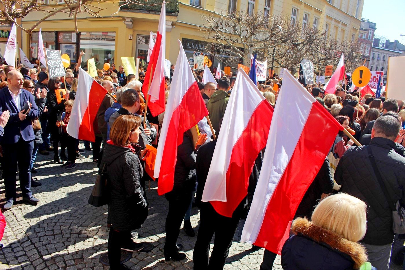 protest-oswiaty-80857