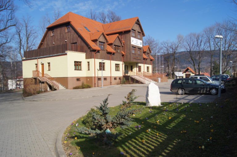 do-sniezki-po-sadzonke-80972