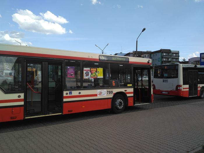 naganne-zachowanie-kierowcy-autobusu-81085
