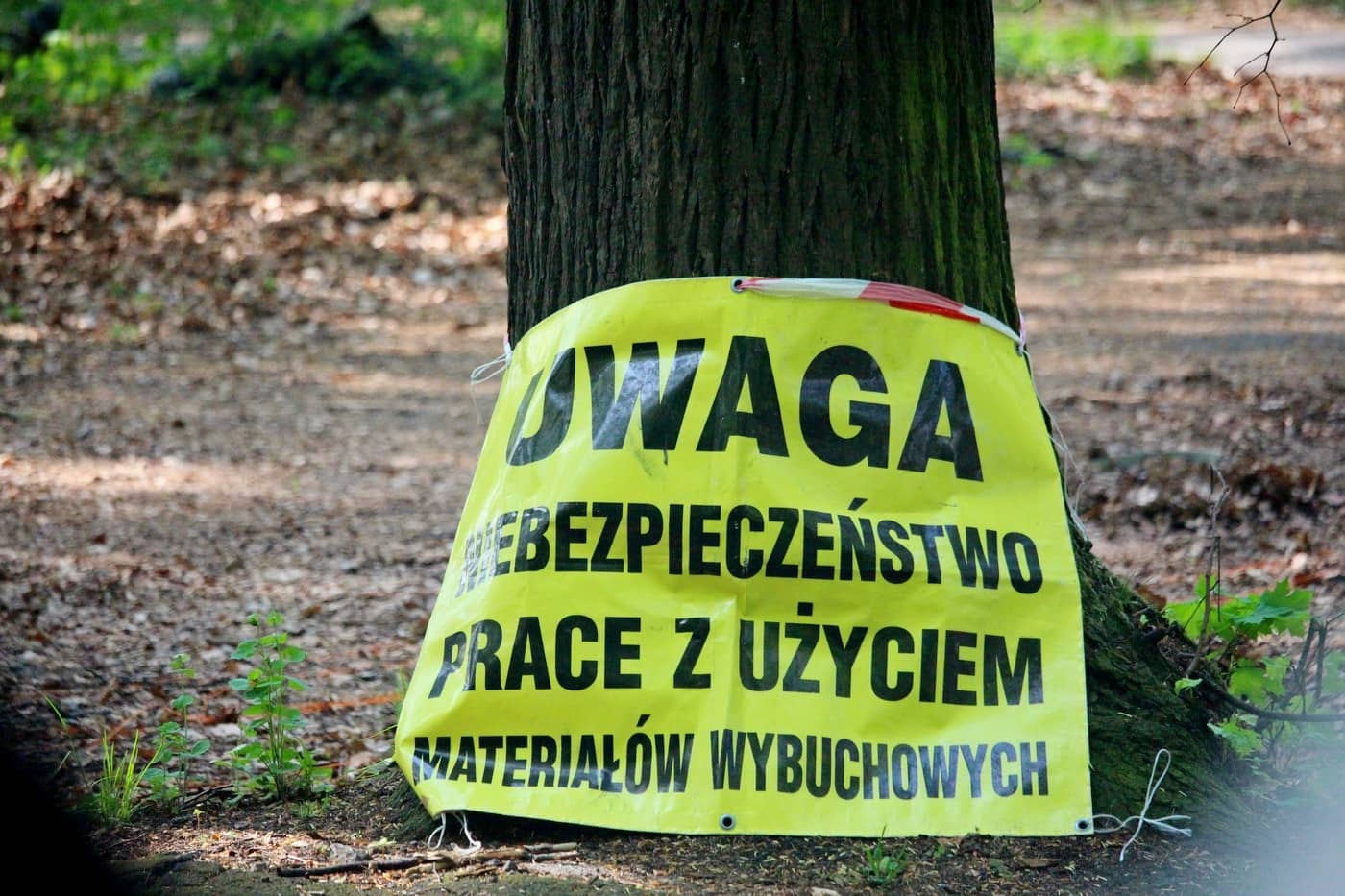 grupy-rekonstrukcyjne-na-wzgorzu-kosciuszki-81116
