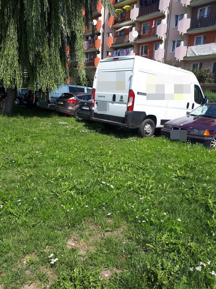duzy-moze-wiecej-81119