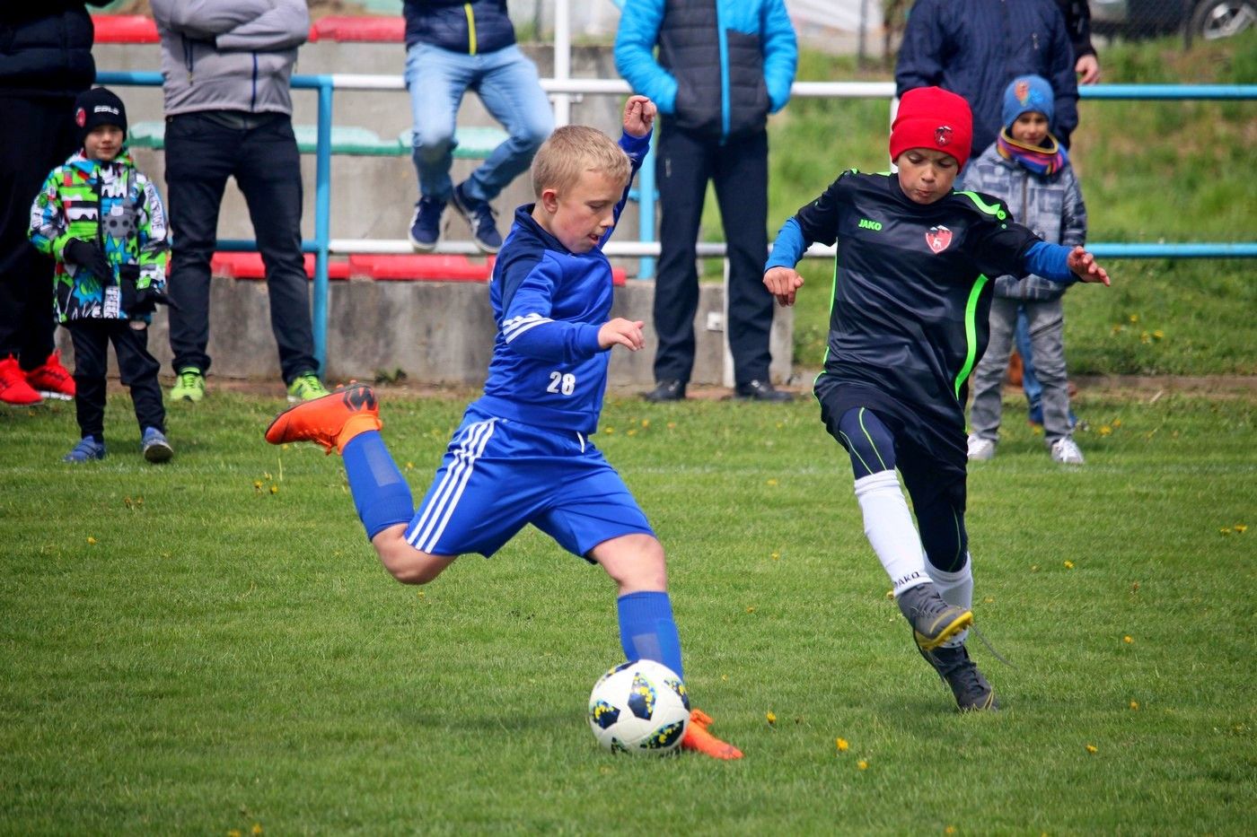 wszyscy-razem-dla-prezesa-81134