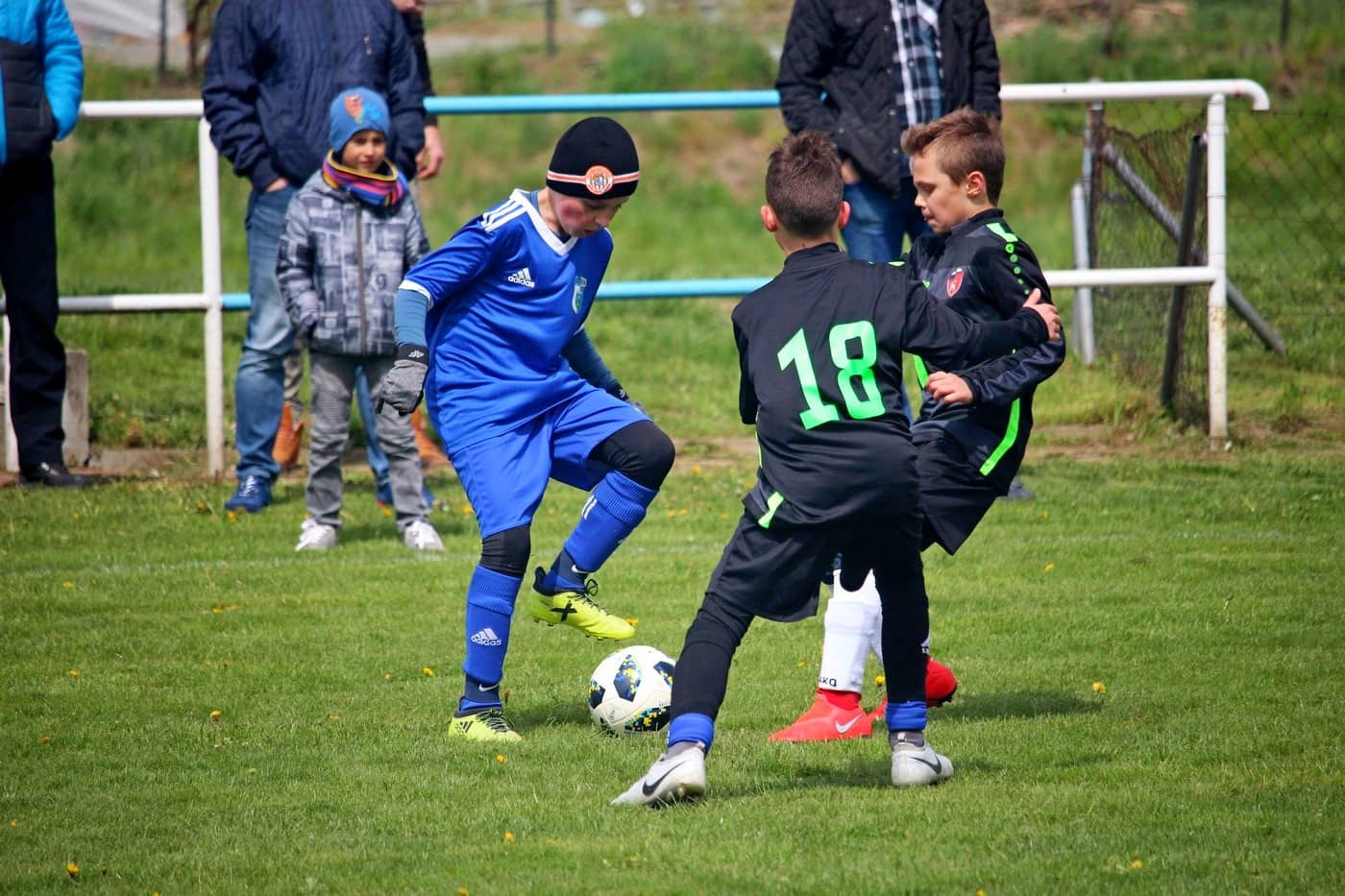 wszyscy-razem-dla-prezesa-81134