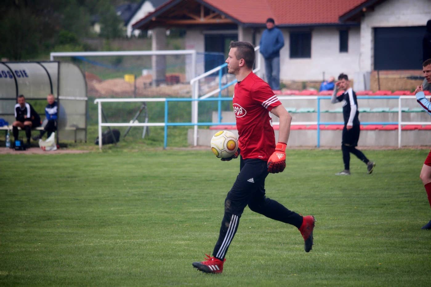 lotnik-wykorzysta-potkniecie-gryfa-81150