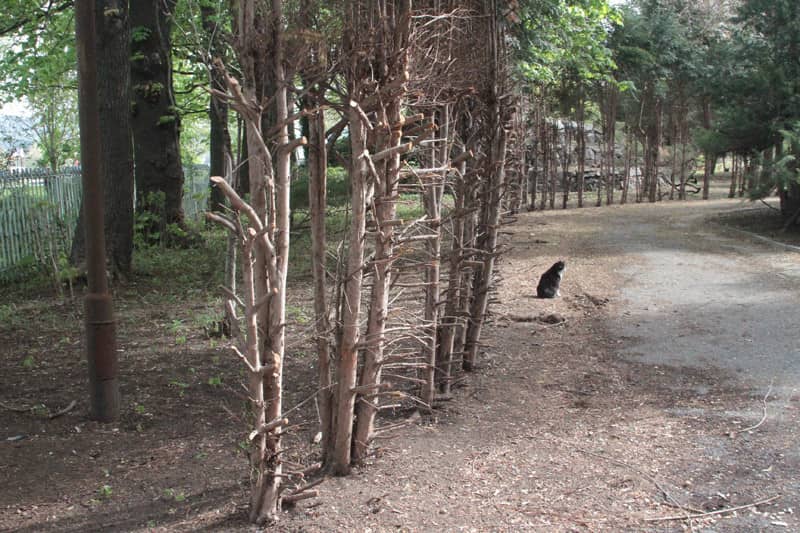 park-przy-zameczku-jest-nadal-zamkniety-81172