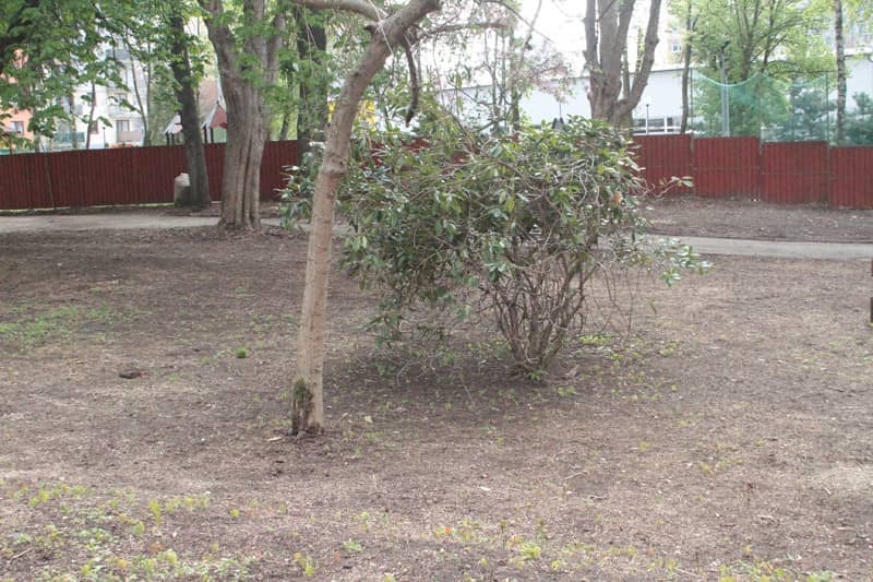 park-przy-zameczku-jest-nadal-zamkniety-81172