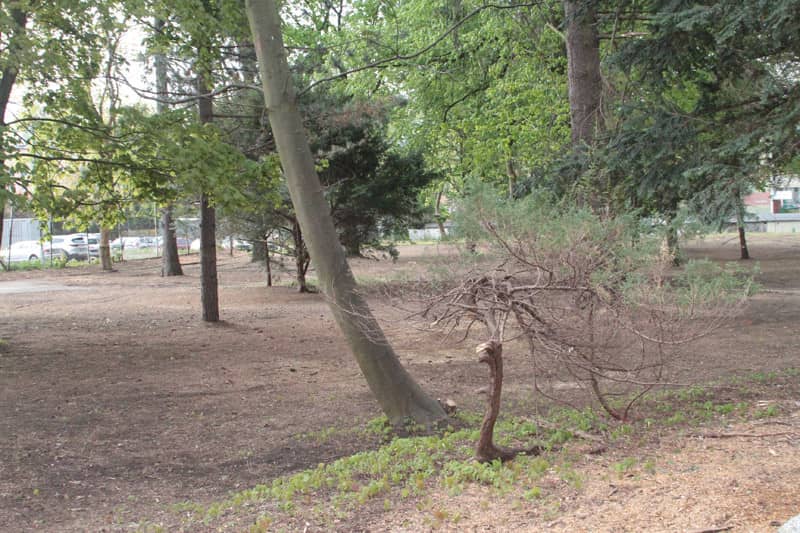 park-przy-zameczku-jest-nadal-zamkniety-81172
