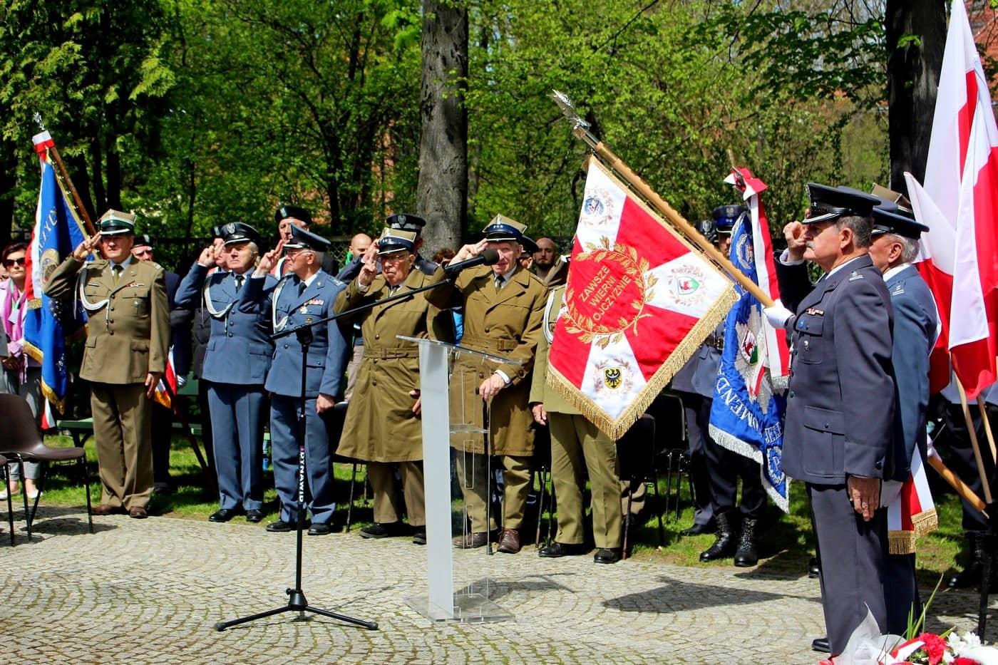 nigdy-wiecej-wojny-81211