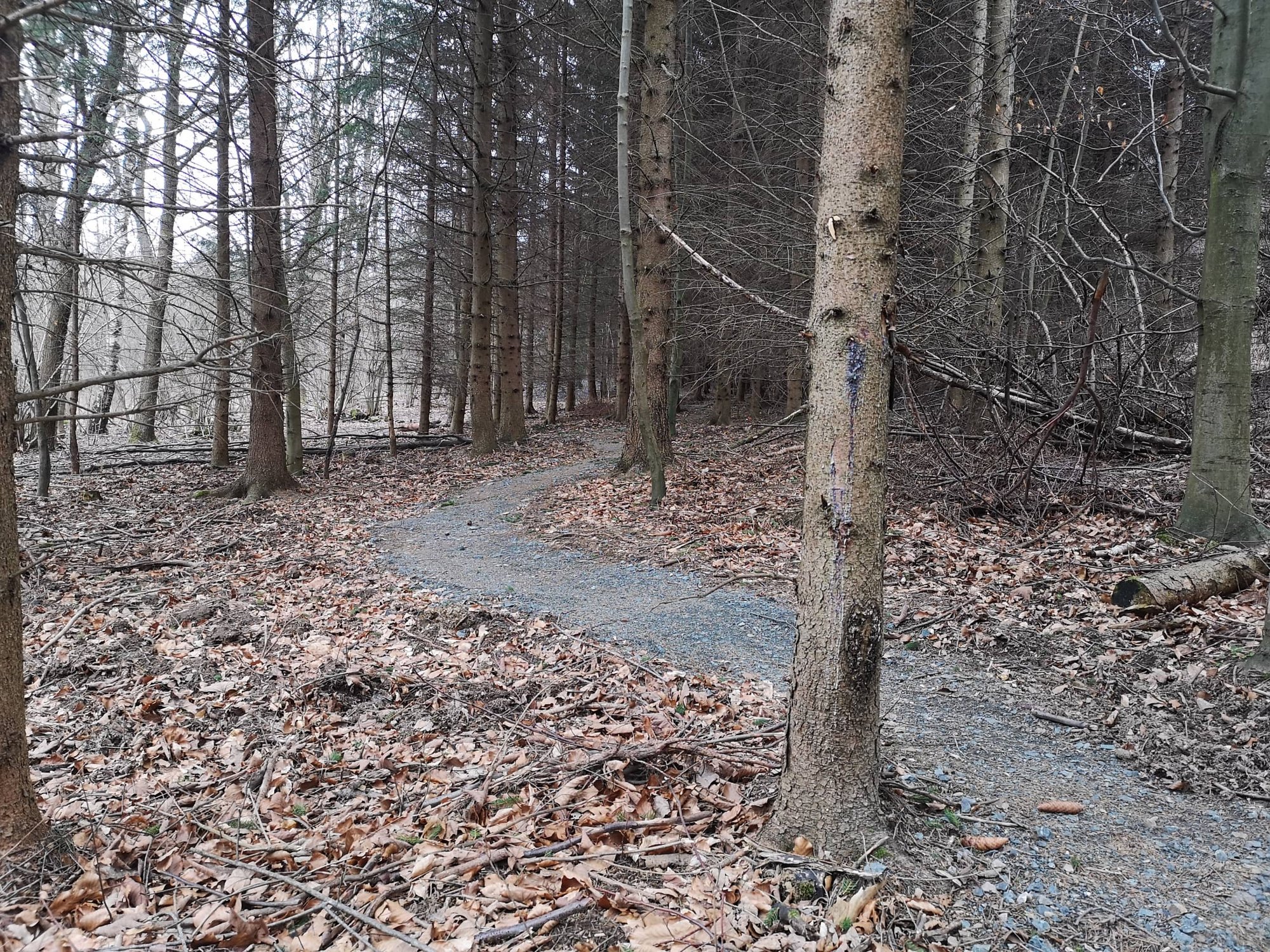 otwarcie-single-trackow-w-gorach-kaczawskich-81233