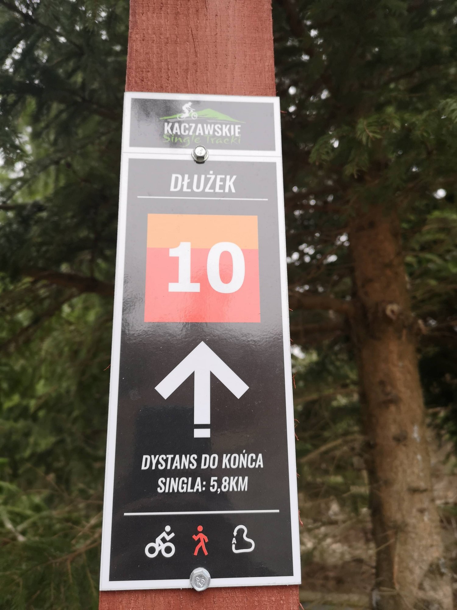 otwarcie-single-trackow-w-gorach-kaczawskich-81233