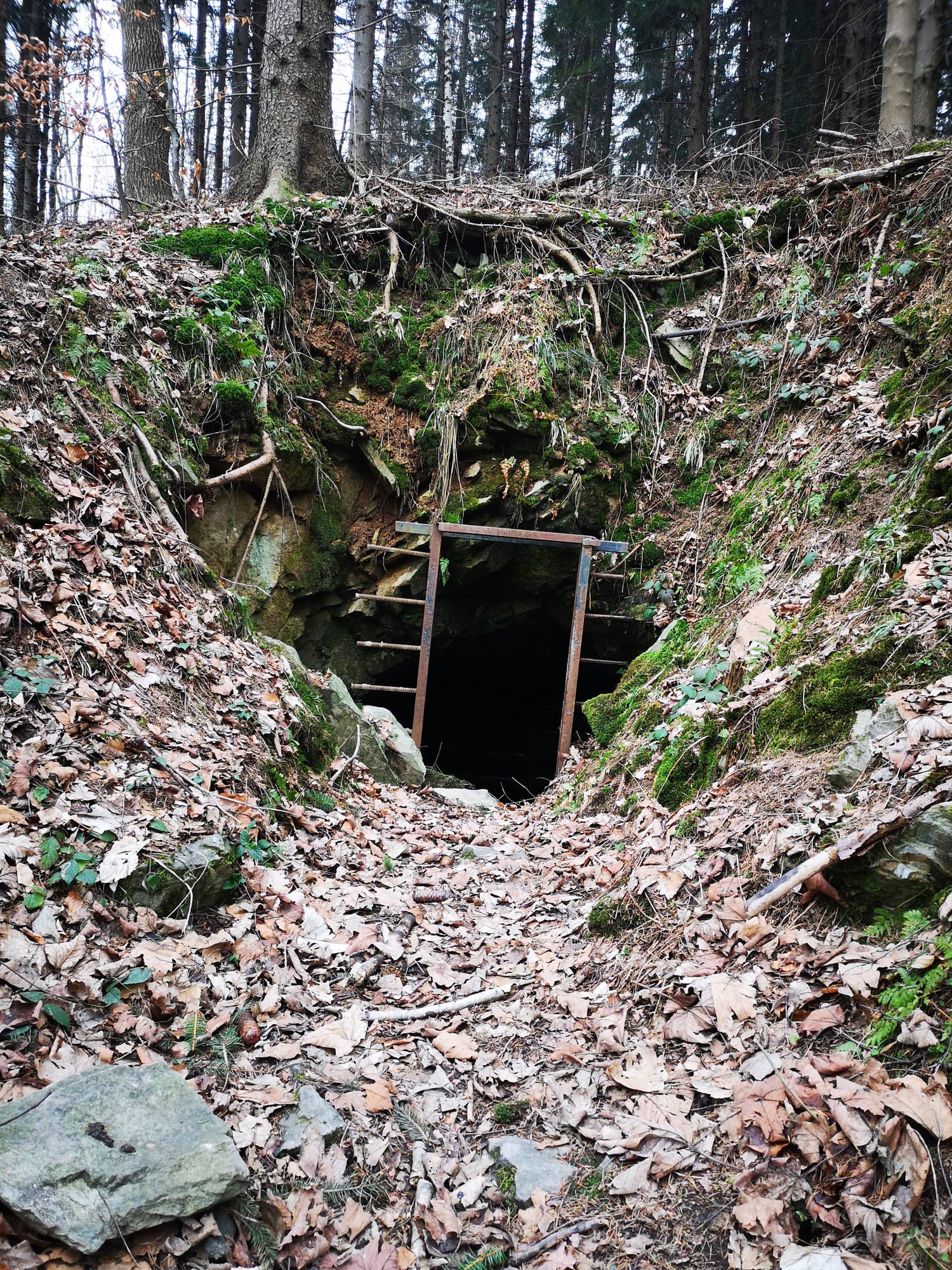 otwarcie-single-trackow-w-gorach-kaczawskich-81233