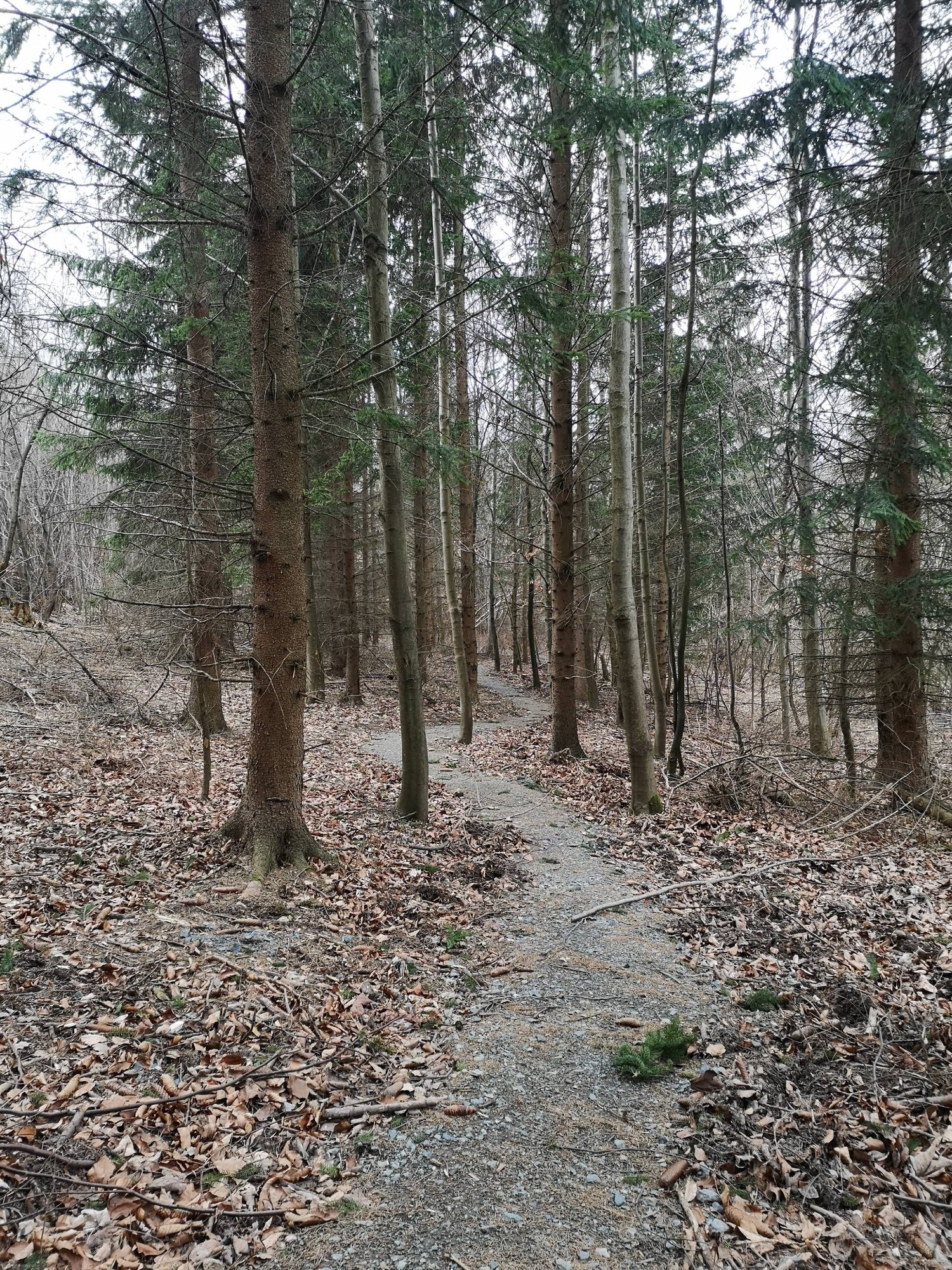 otwarcie-single-trackow-w-gorach-kaczawskich-81233