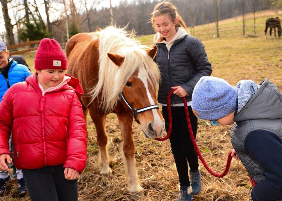 dzien-otwarty-w-liceum-spoecznym-sto-16-maja-czwartek-81313
