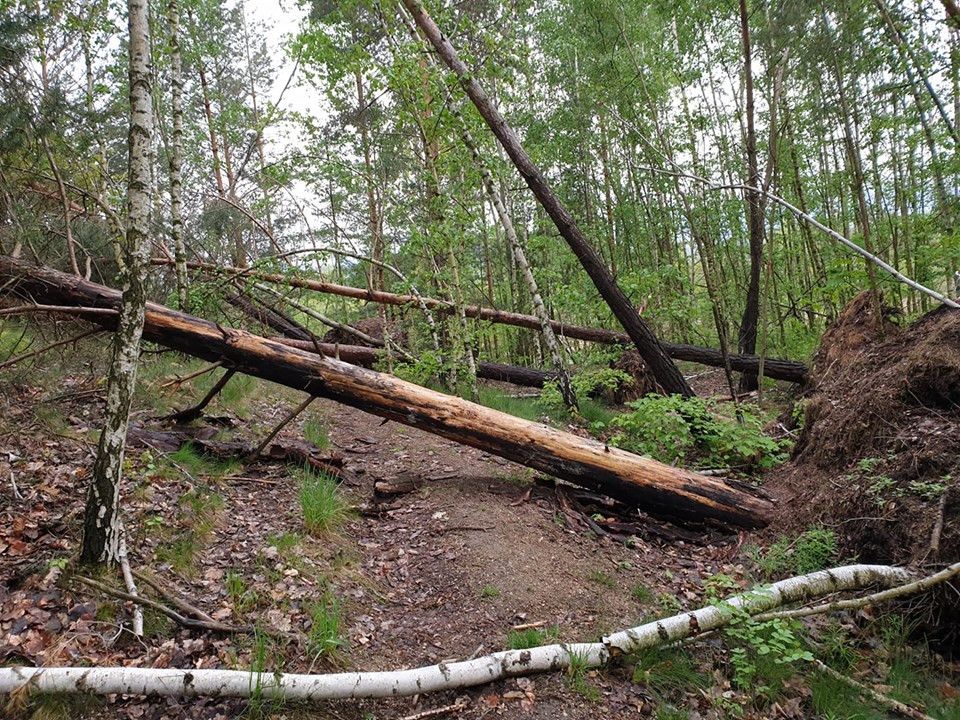 odpowiedz-organizatora-rajdu-200-pieczatek-w-24-godziny-81321