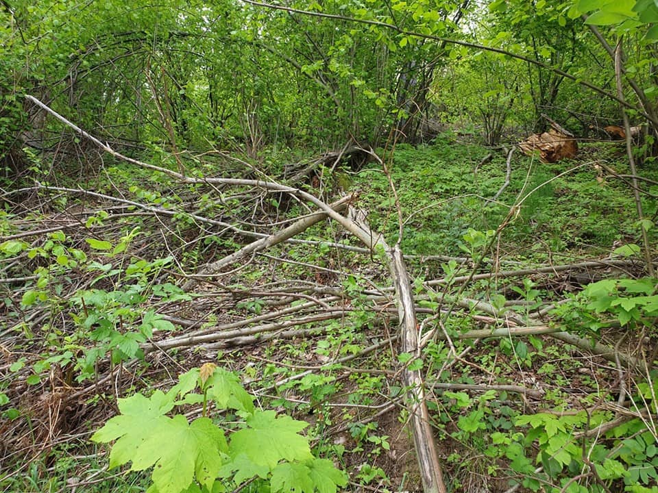 odpowiedz-organizatora-rajdu-200-pieczatek-w-24-godziny-81321
