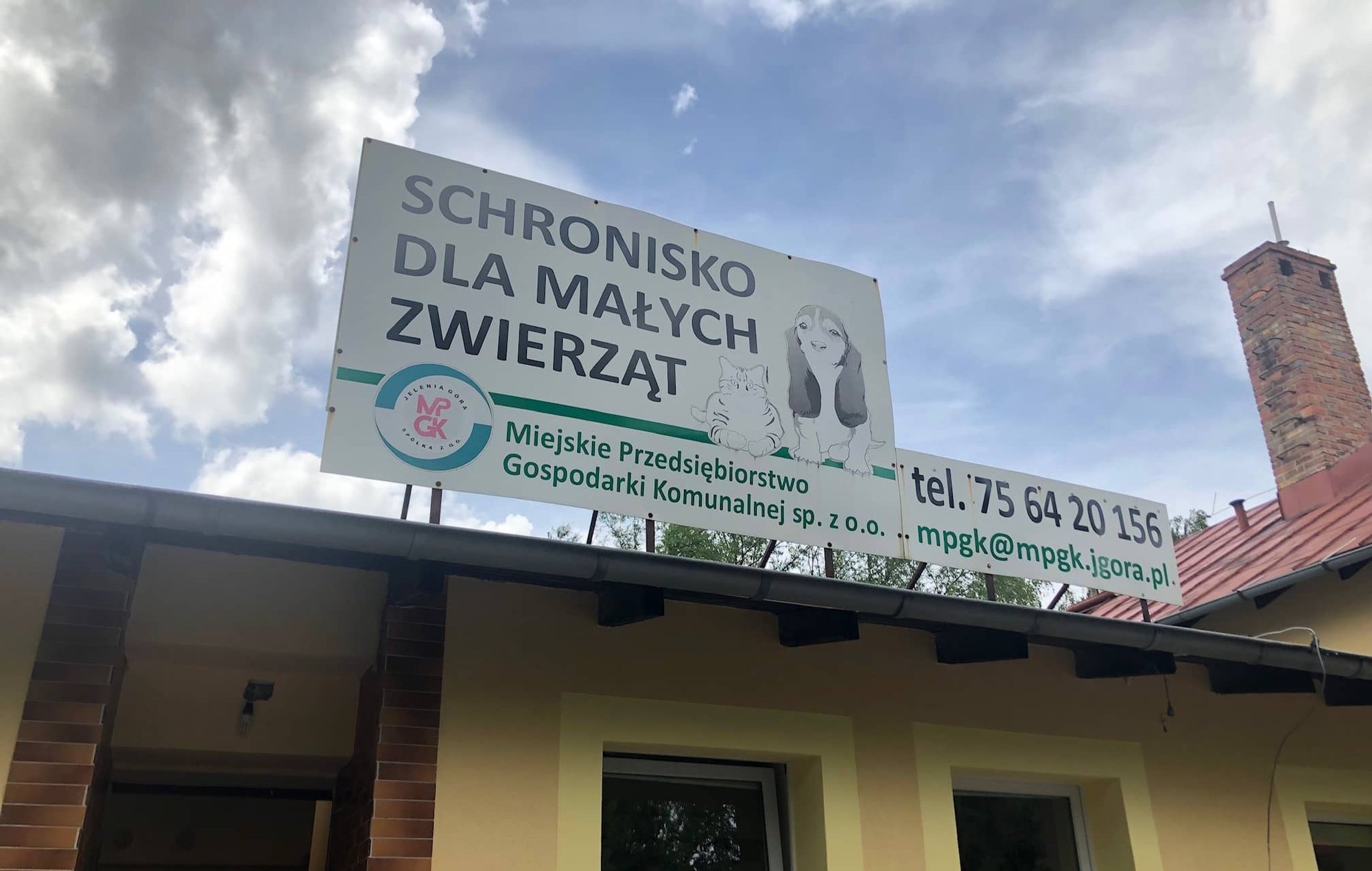duzo-serca-i-ciepa-w-schronisku-dla-zwierzat-81474