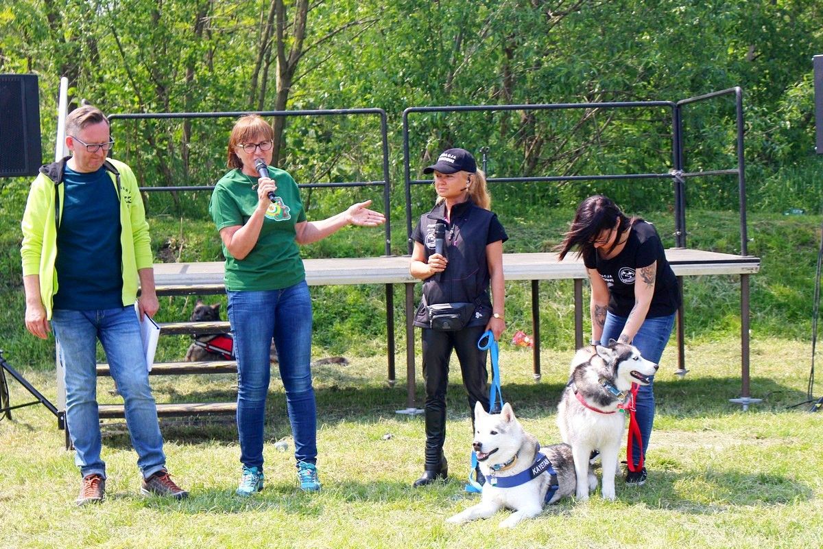 na-pikniku-promowali-adopcje-zwierzat-81508