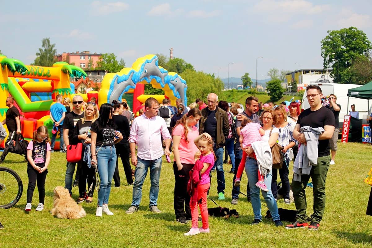 na-pikniku-promowali-adopcje-zwierzat-81508