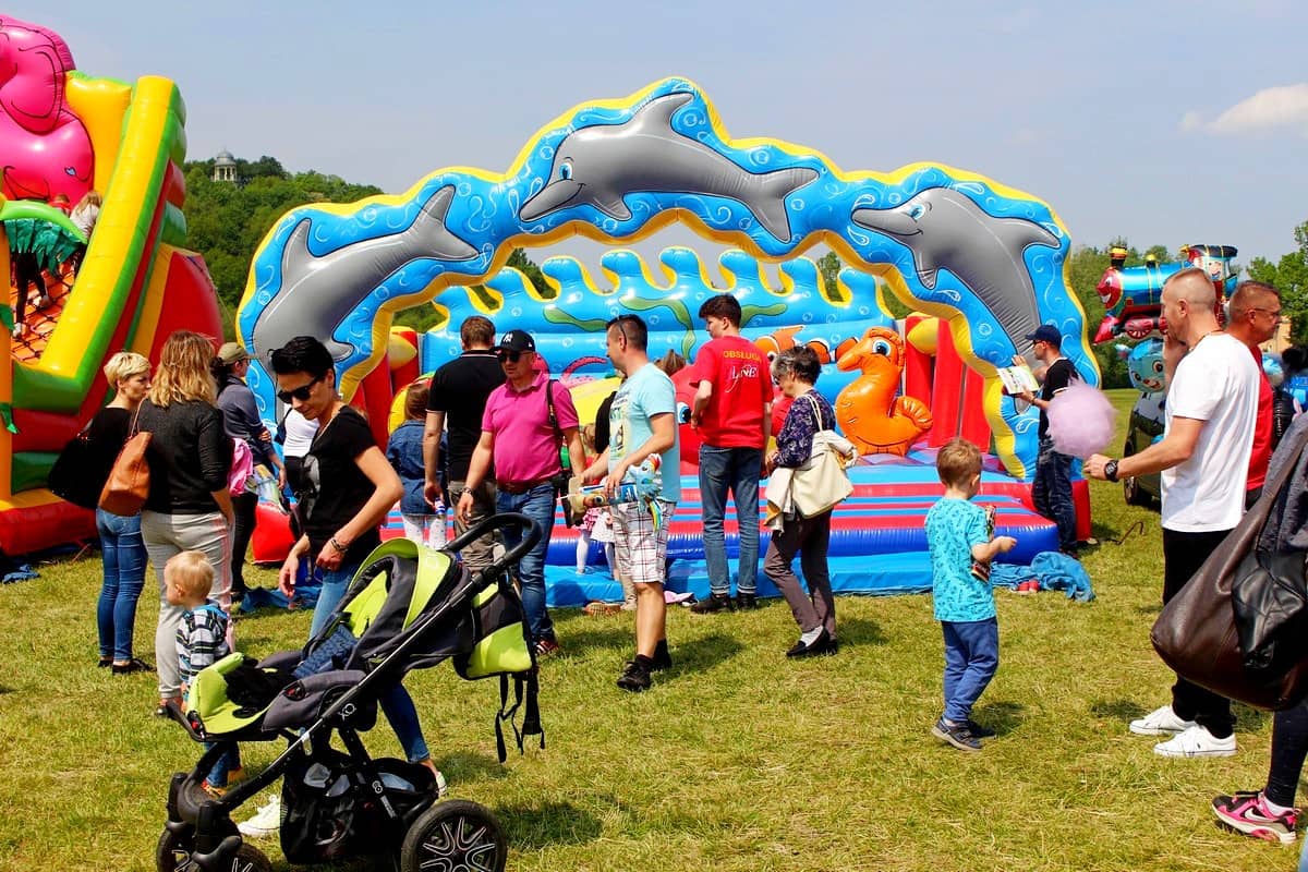 na-pikniku-promowali-adopcje-zwierzat-81508