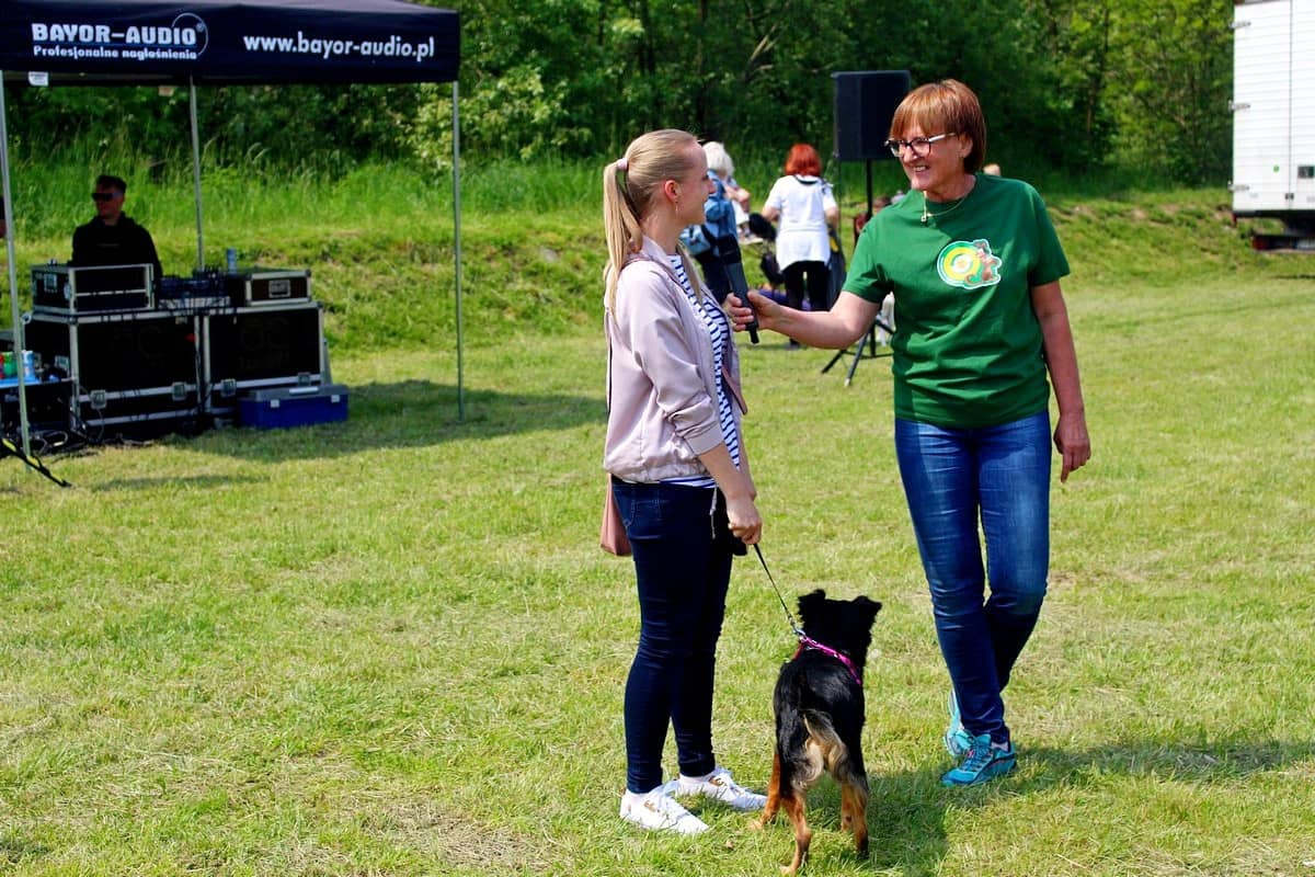 na-pikniku-promowali-adopcje-zwierzat-81508