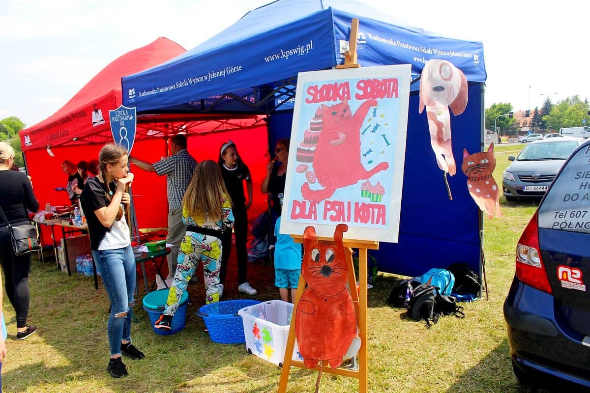 na-pikniku-promowali-adopcje-zwierzat-81508
