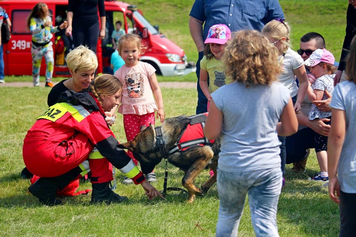 na-pikniku-promowali-adopcje-zwierzat-81508