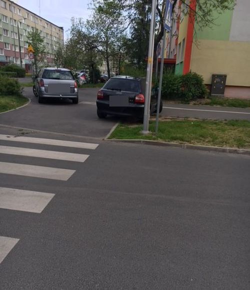 trawnik-to-nie-parking-81662