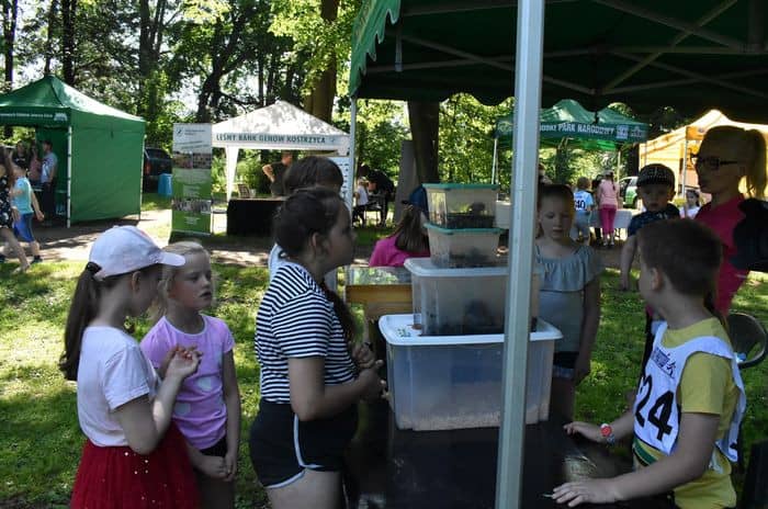 ekologiczny-piknik-81694