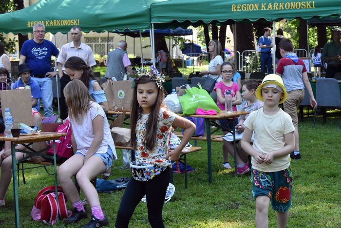 ekologiczny-piknik-81694