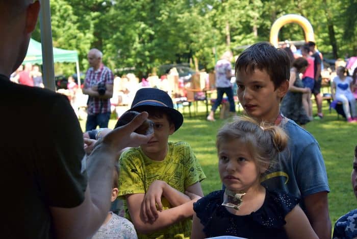 ekologiczny-piknik-81694