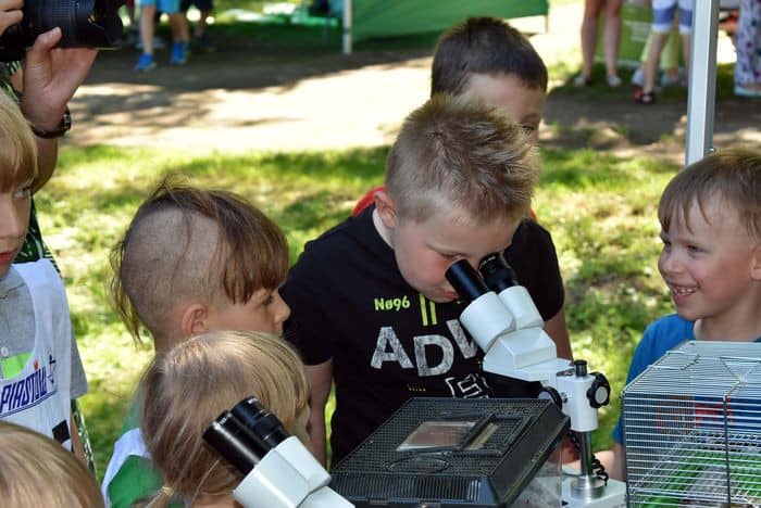 ekologiczny-piknik-81694
