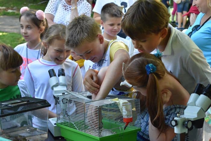 ekologiczny-piknik-81694