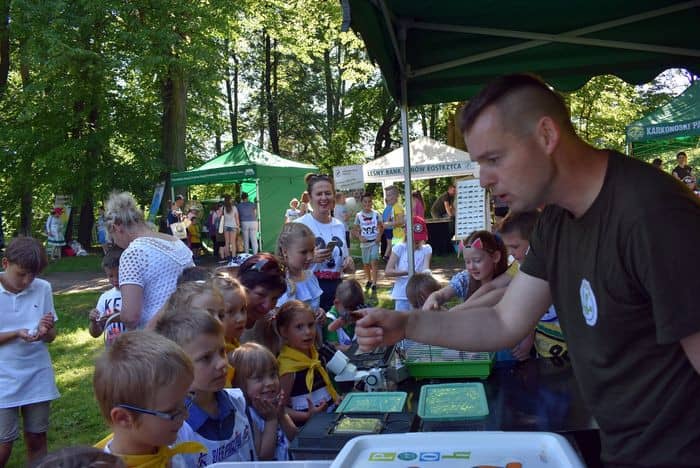 ekologiczny-piknik-81694