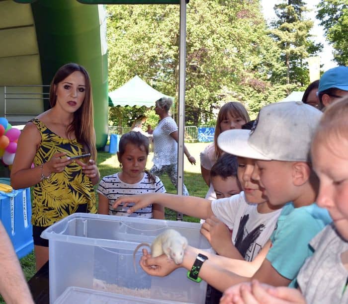 ekologiczny-piknik-81694