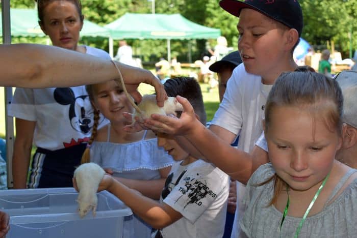 ekologiczny-piknik-81694