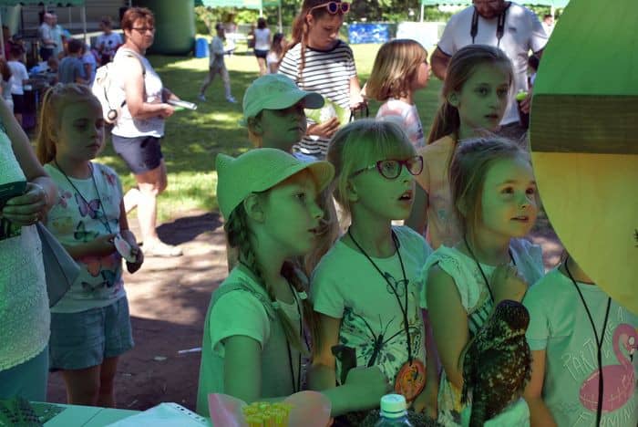 ekologiczny-piknik-81694