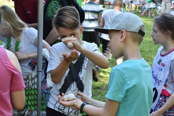 ekologiczny-piknik-81694