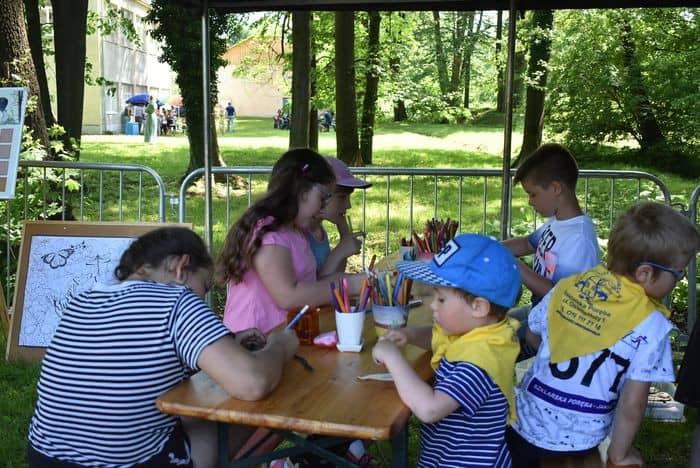ekologiczny-piknik-81694