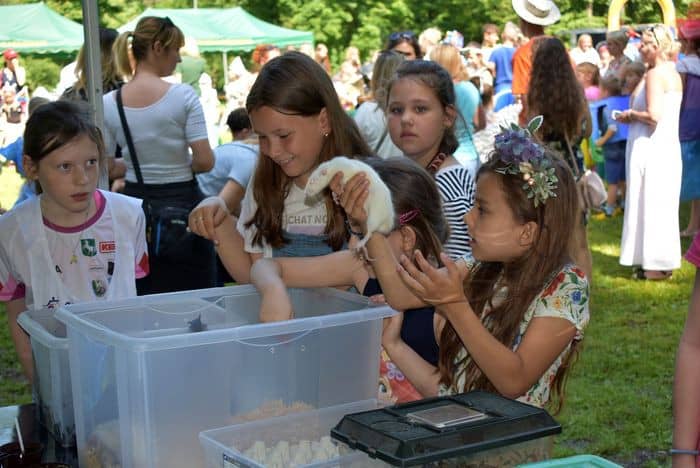 ekologiczny-piknik-81694