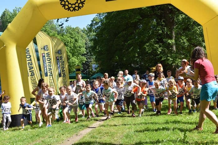 ekologiczny-piknik-81694