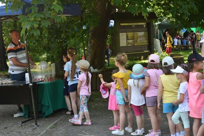 ekologiczny-piknik-81694