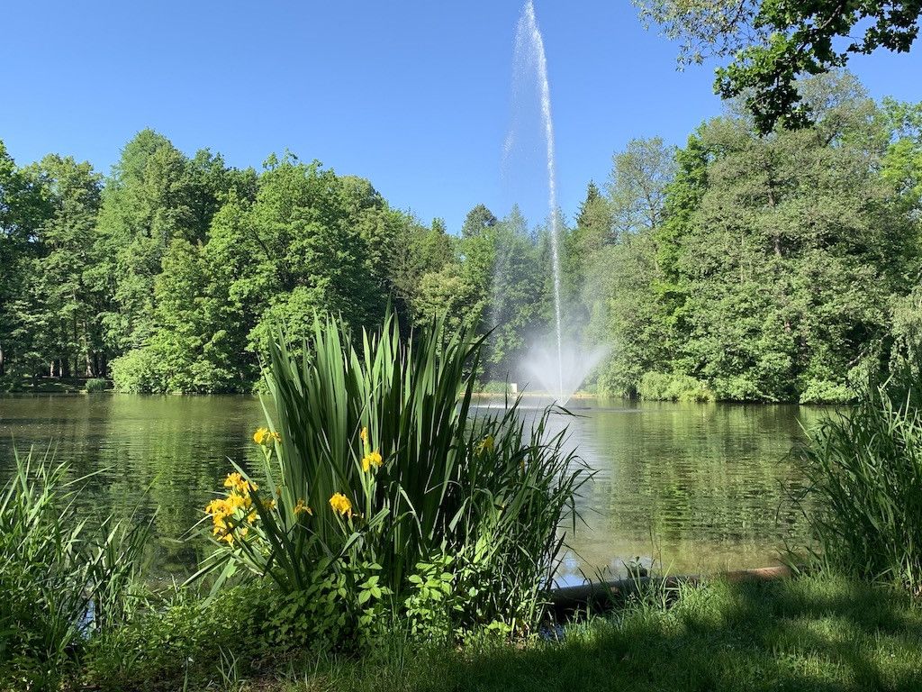 park-piekniejszy-w-dzien-czy-w-nocy-81702